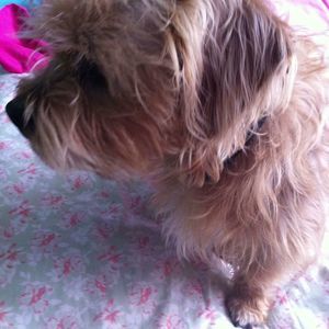 Meet your Posher, Don